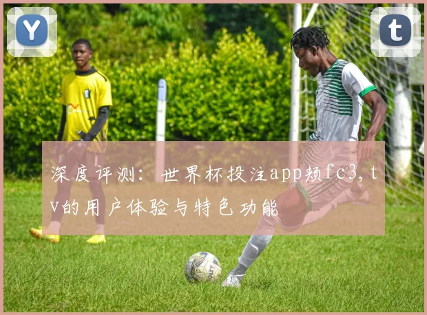 深度评测：世界杯投注app颊fc3,tv的用户体验与特色功能