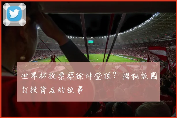 世界杯投票蔡徐坤登顶?揭秘饭圈打投背后的故事