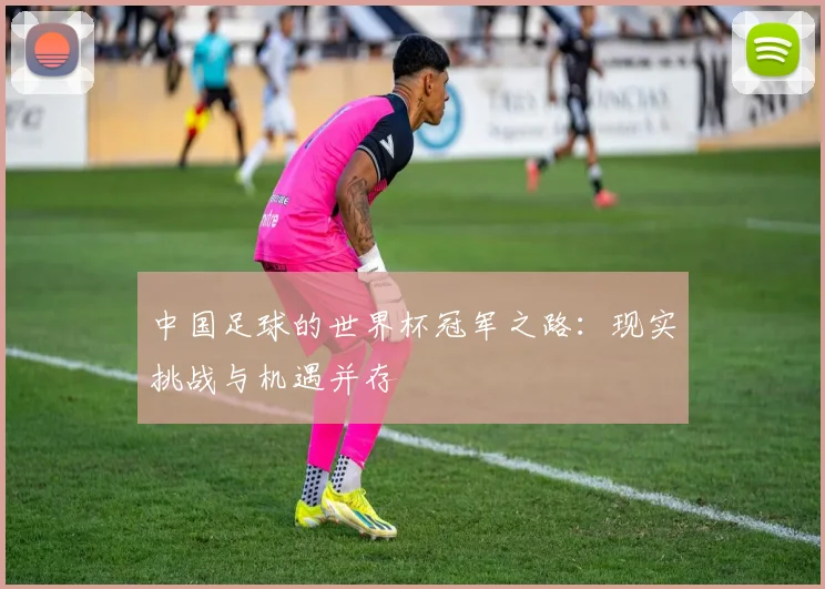 中国足球的世界杯冠军之路：现实挑战与机遇并存