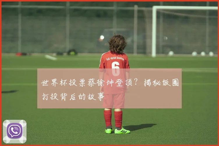 世界杯投票蔡徐坤登顶?揭秘饭圈打投背后的故事