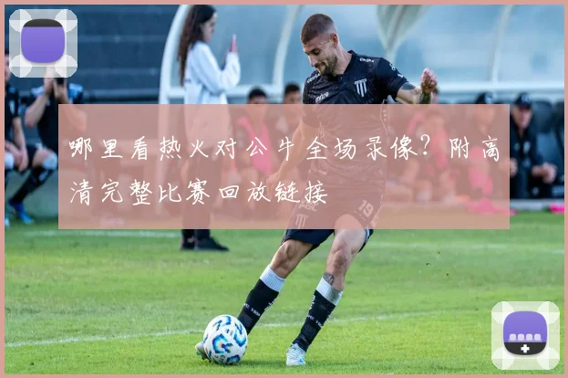 哪里看热火对公牛全场录像？附高清完整比赛回放链接