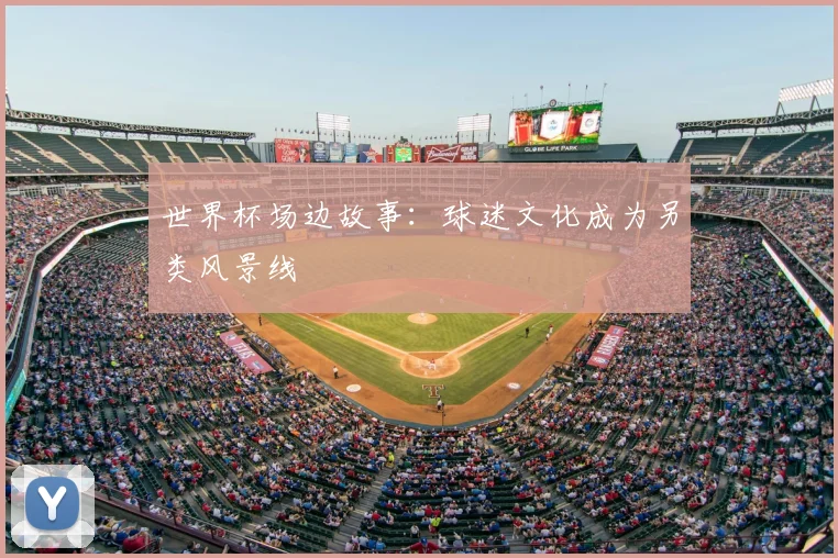 世界杯场边故事：球迷文化成为另类风景线